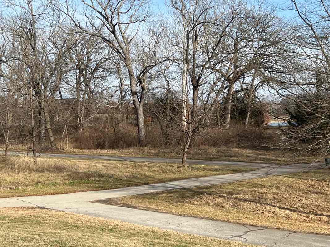 walking near me in Ironwoods Park in winter