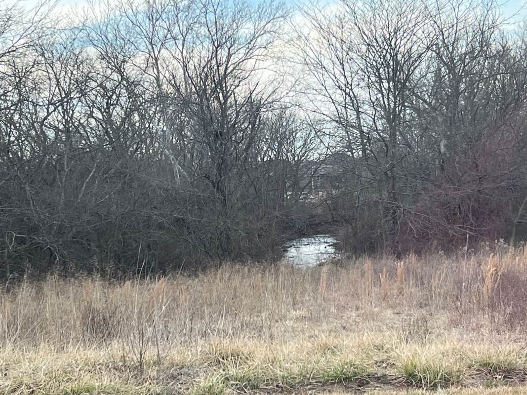 walking near me in Arthur & Betty Verhaeghe Park in winter