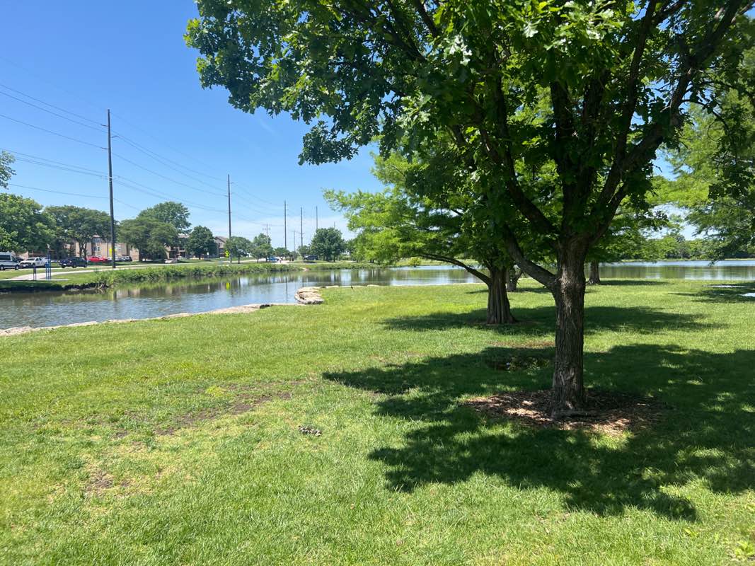 walking near me in Frisco Lake Park in summer
