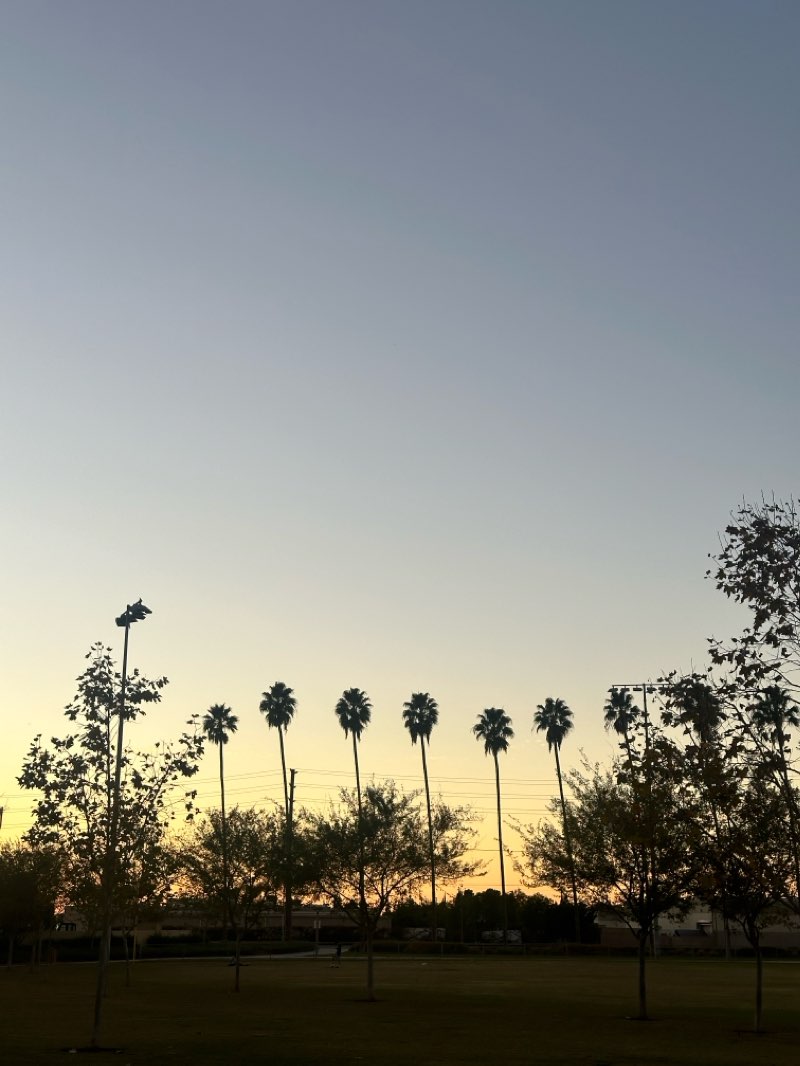 walking near me in Shaffer Park in winter