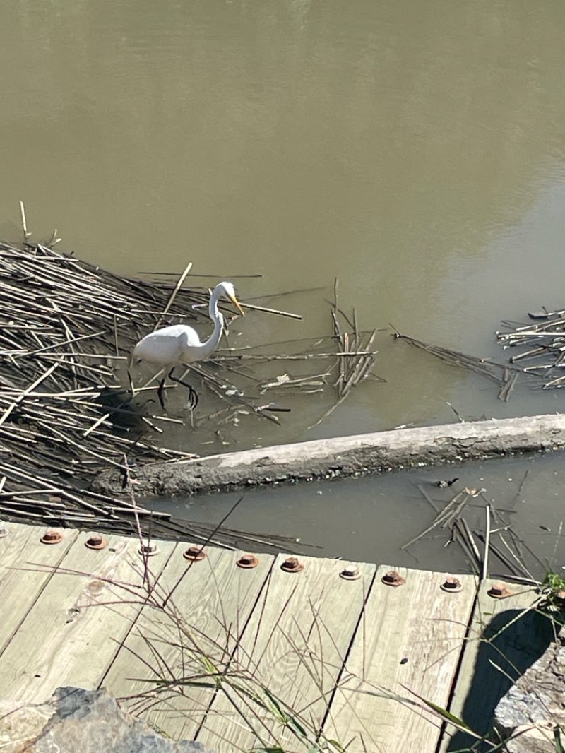 walking near me in Fort Mott State Park in autumn