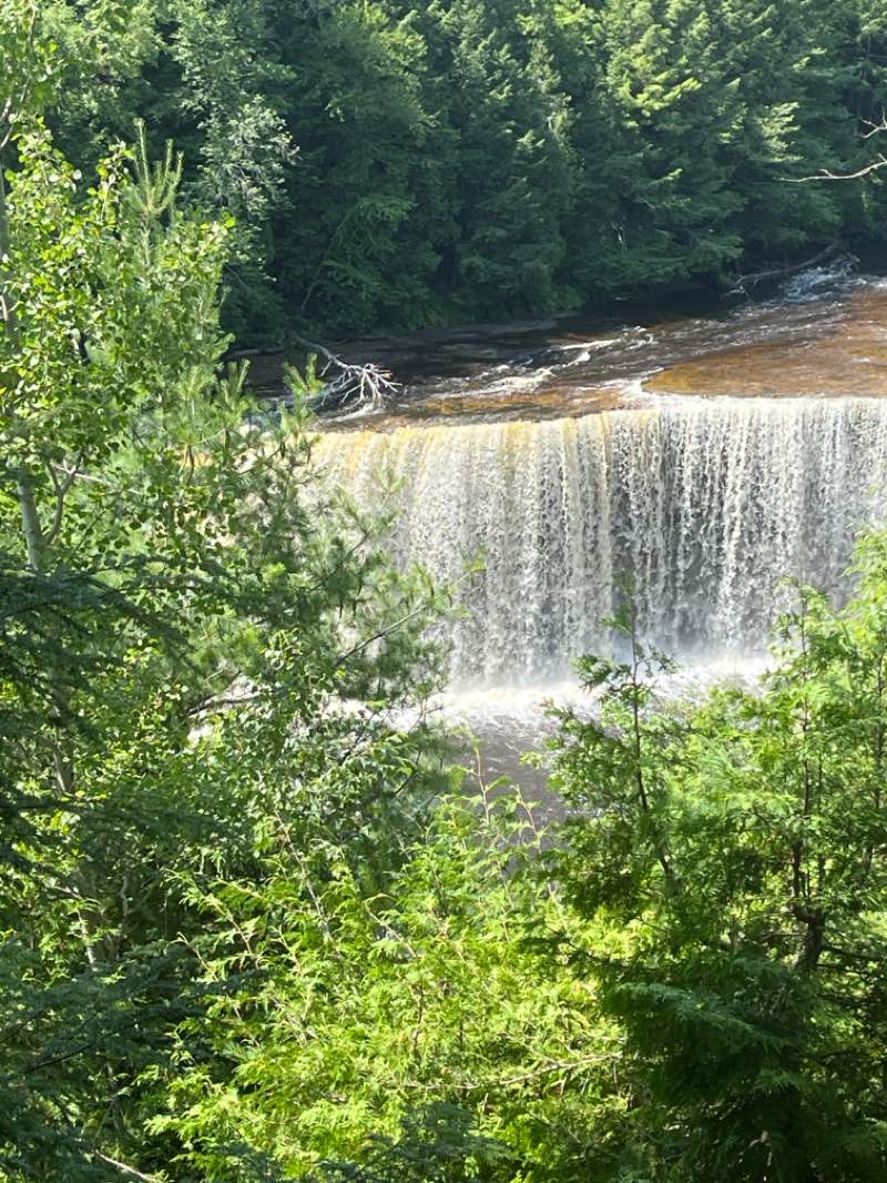 walking near me in Tahquemenon Falls State Park in autumn