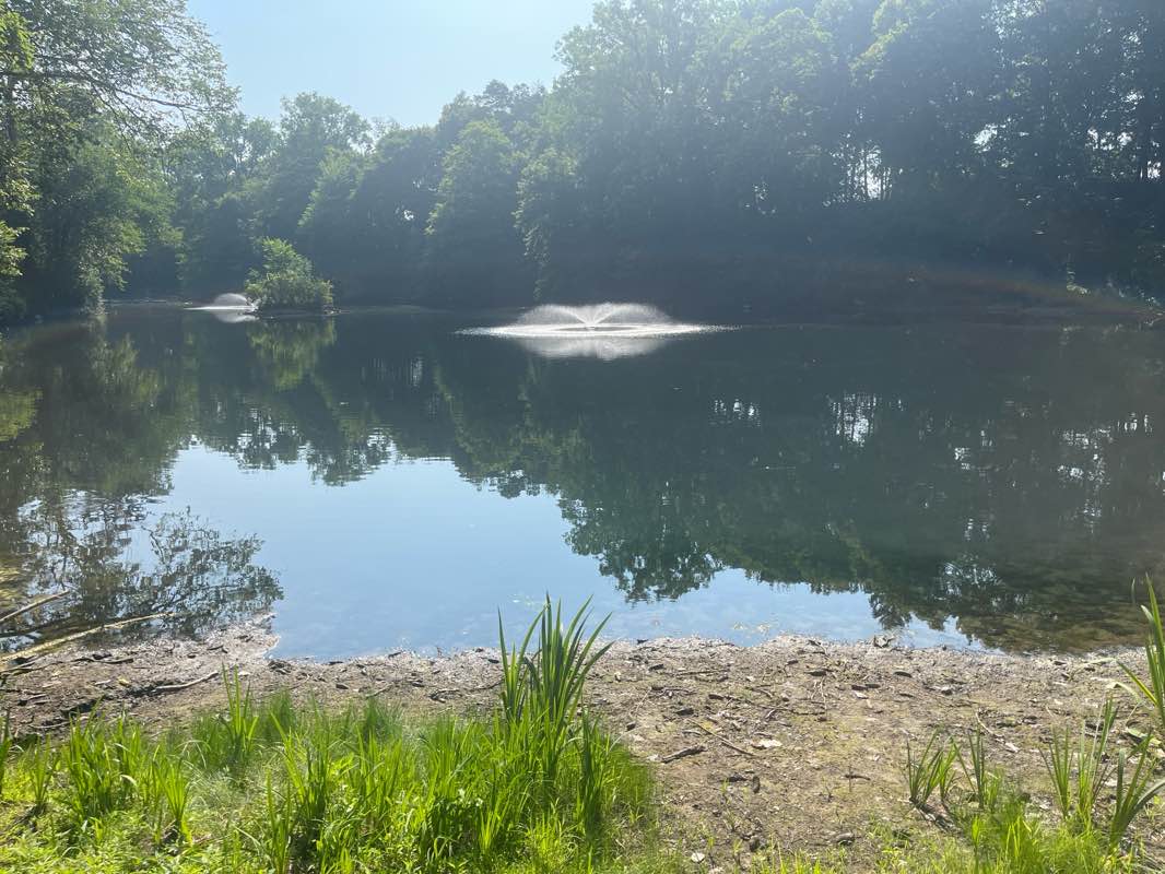 walking near me in Rivercrest Green Space Property in summer