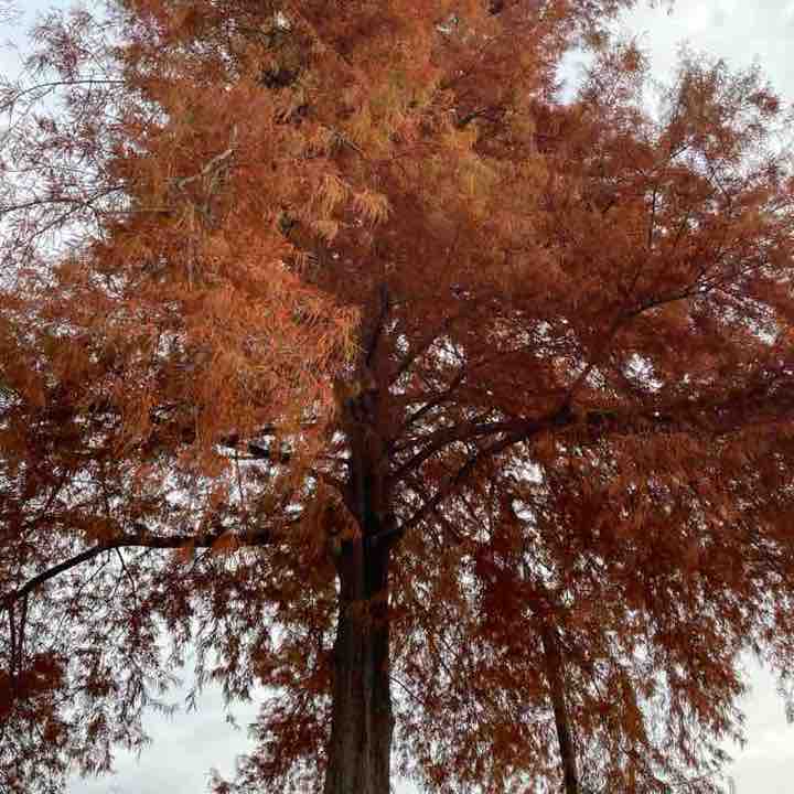 🫶🏻 🪼 Midnight Rain 🪼 🫶🏻 post 1