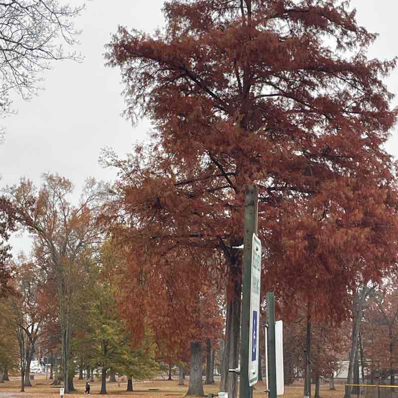 🫶🏻 🪼 Midnight Rain 🪼 🫶🏻 post 1