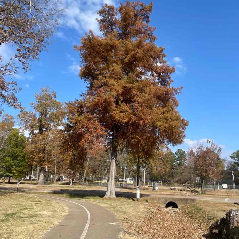 🫶🏻 🪼 Midnight Rain 🪼 🫶🏻 post 1