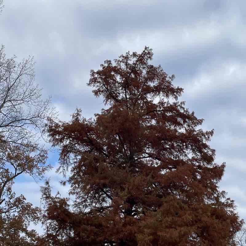 🫶🏻 🪼 Midnight Rain 🪼 🫶🏻 post 1