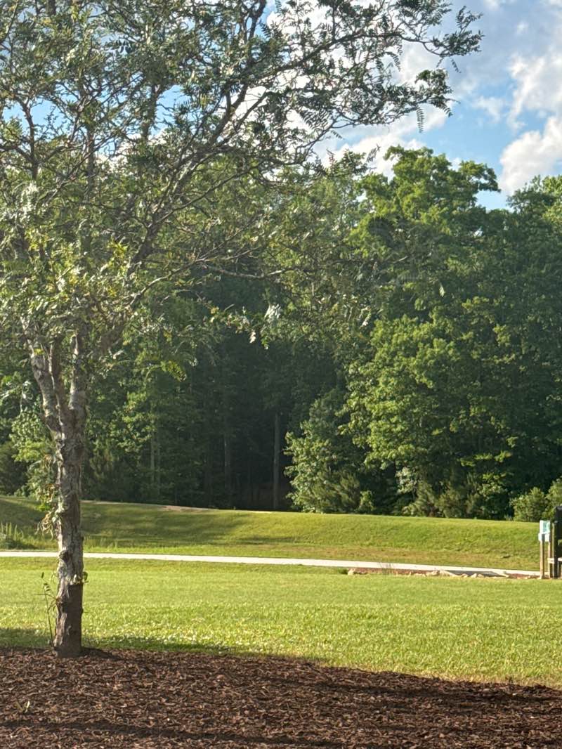 walking near me in East Clayton Community Park in spring