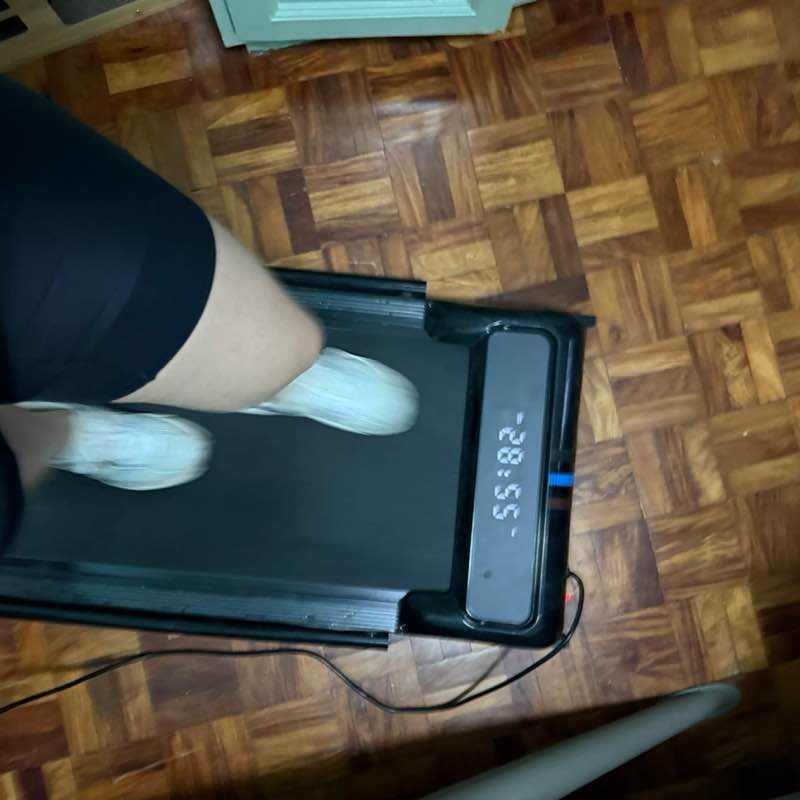 Shammy the Siamese post 2