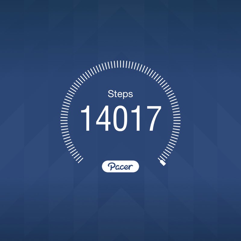 Shammy the Siamese post 1