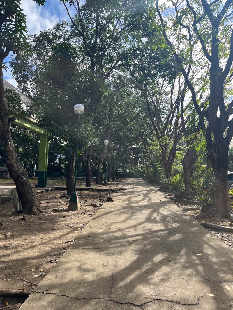 walking near me in Eugenio Park in winter