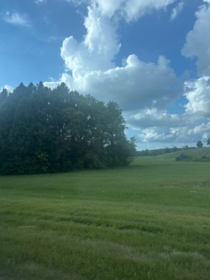 walking near me in Shelby Farms Park in summer