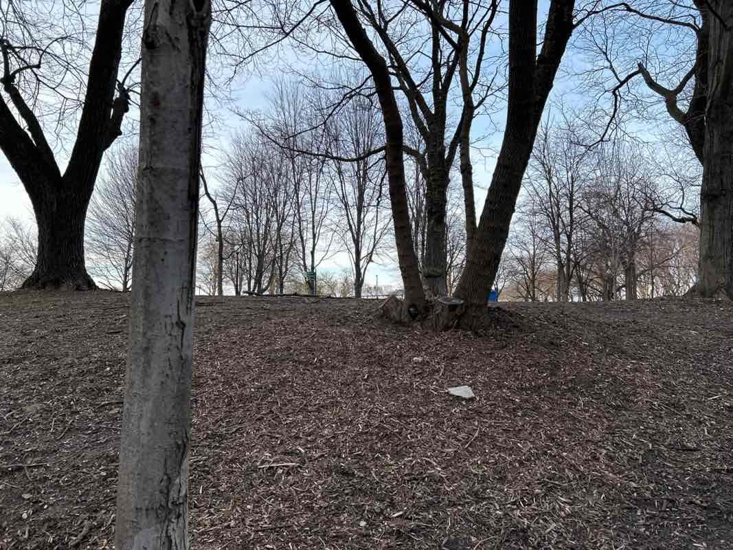 walking near me in Jane Addams Memorial Park in spring