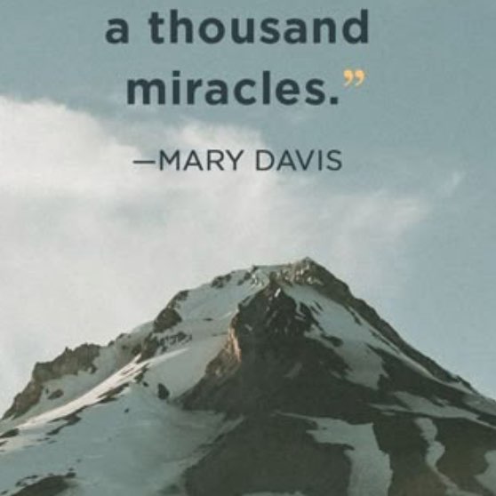 Andrew Harrington post 1