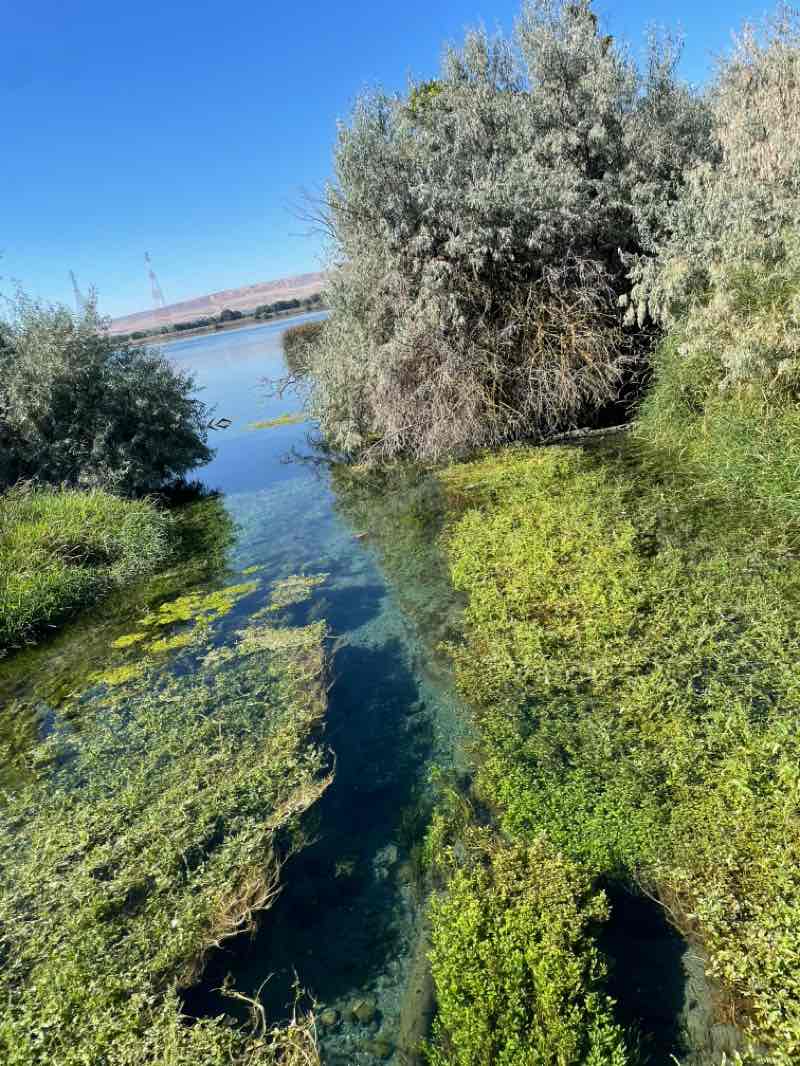 walking near me in Sacajawea State Park in autumn