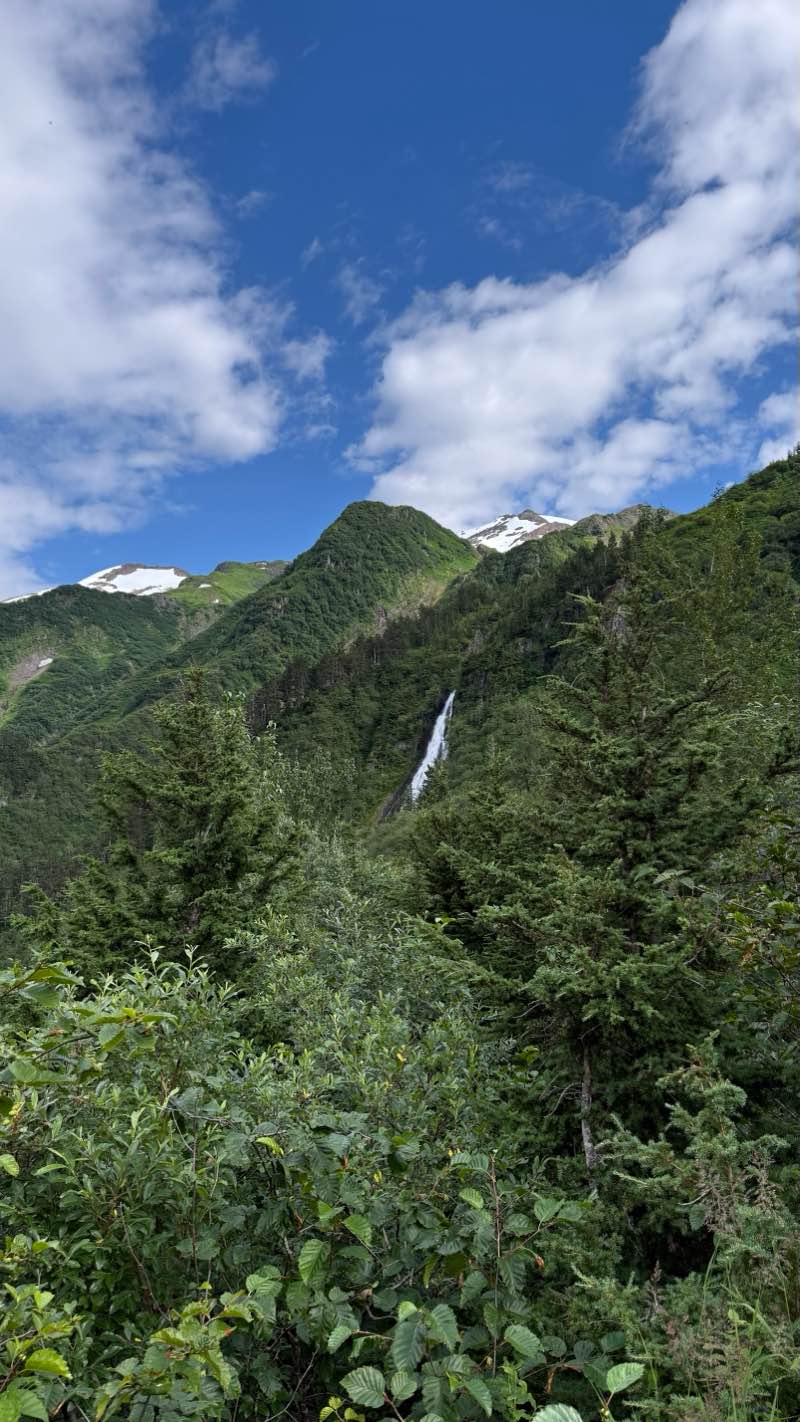 walking near me in Cope Park in autumn