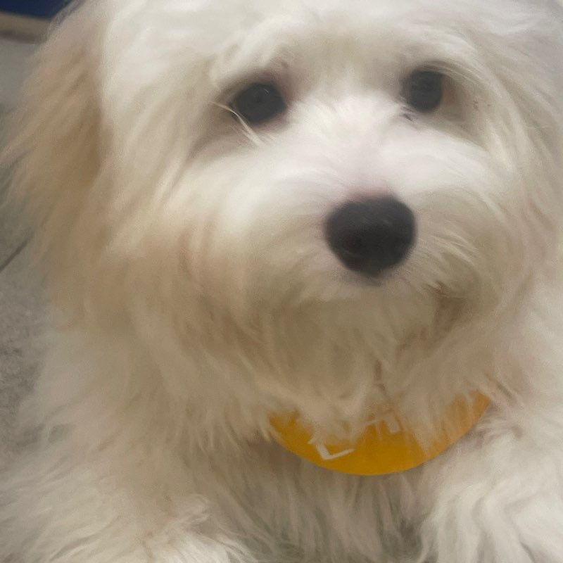 이혜련 16495 icon