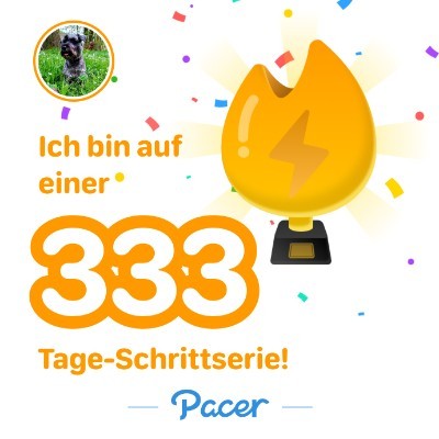 Die Hochleistungs-Gassigeher 😎 Wuschel.St post image