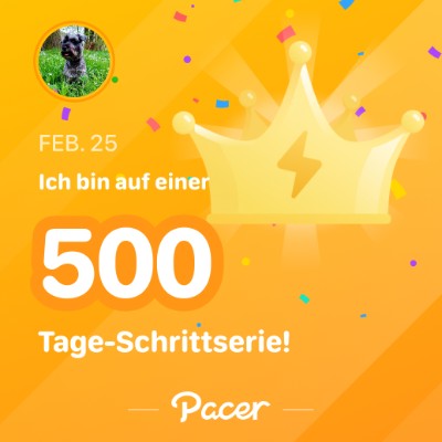 Die Hochleistungs-Gassigeher 😎 Wuschel.St post image