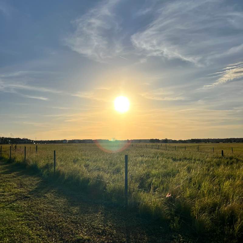 Lake Nona walking Club Angel post image