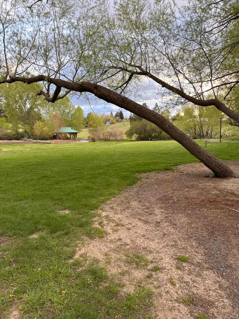 walking near me in Berman Creekside Park in spring