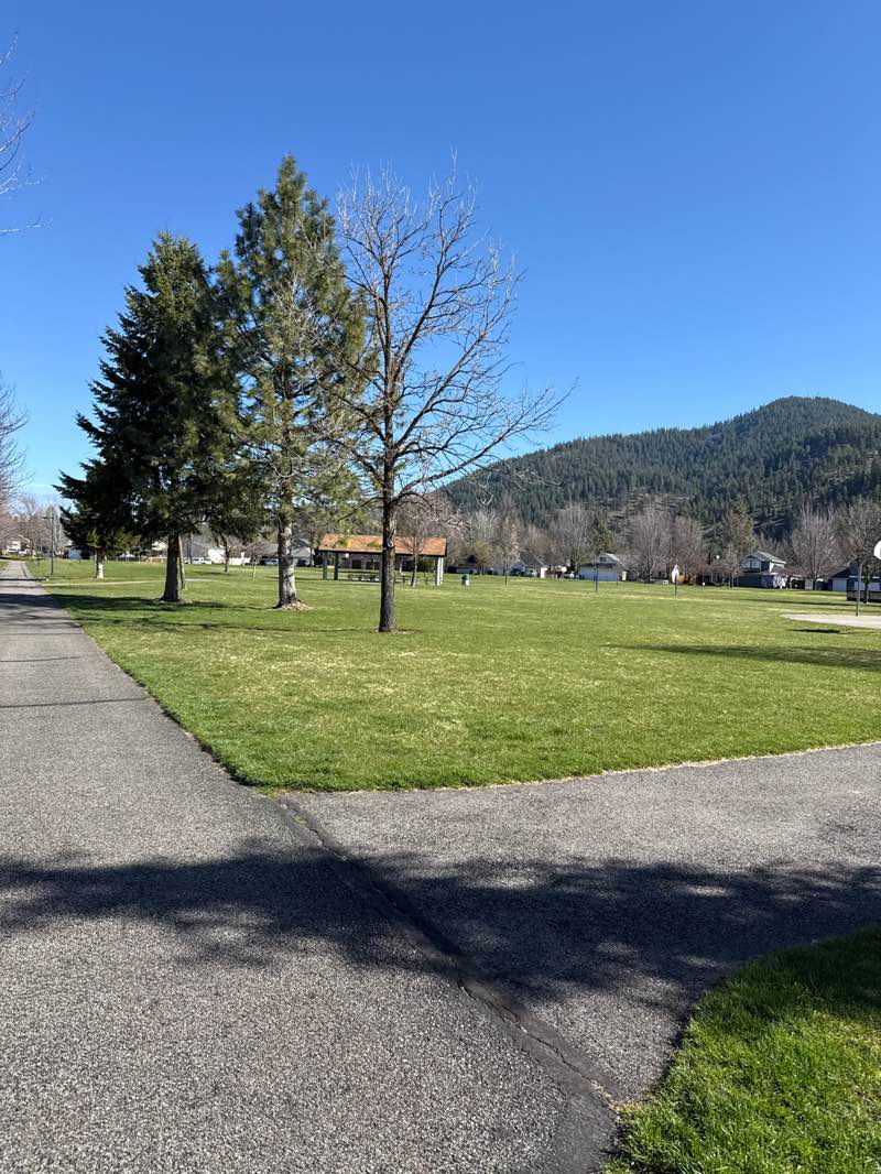 walking near me in Shadduck Lane Park in spring