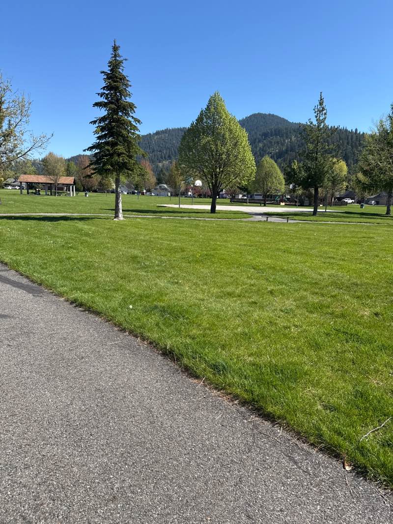 walking near me in Shadduck Lane Park in spring