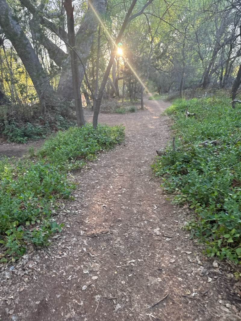walking near me in Crescent Moon Ranch in spring