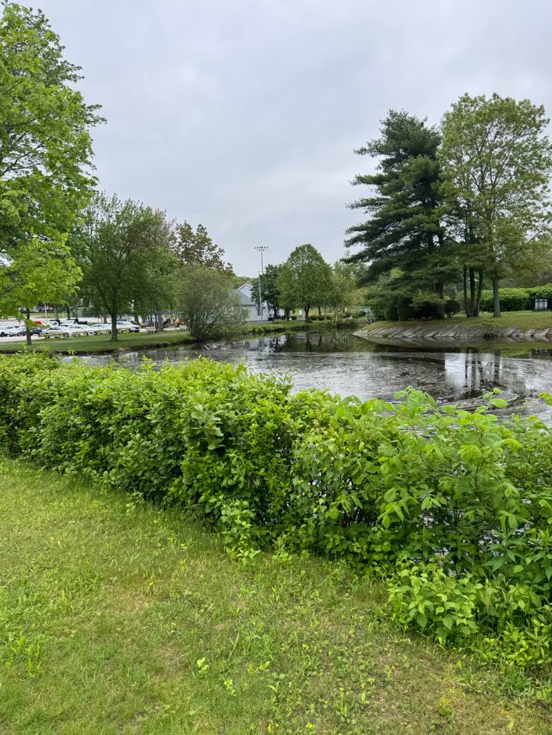 walking near me in Johnston Memorial Park in spring
