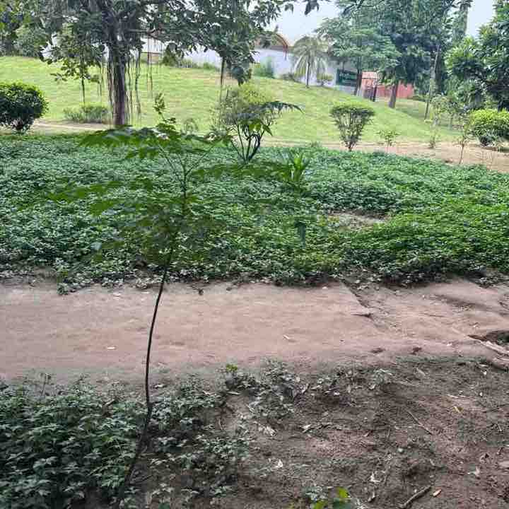 Arun post 1
