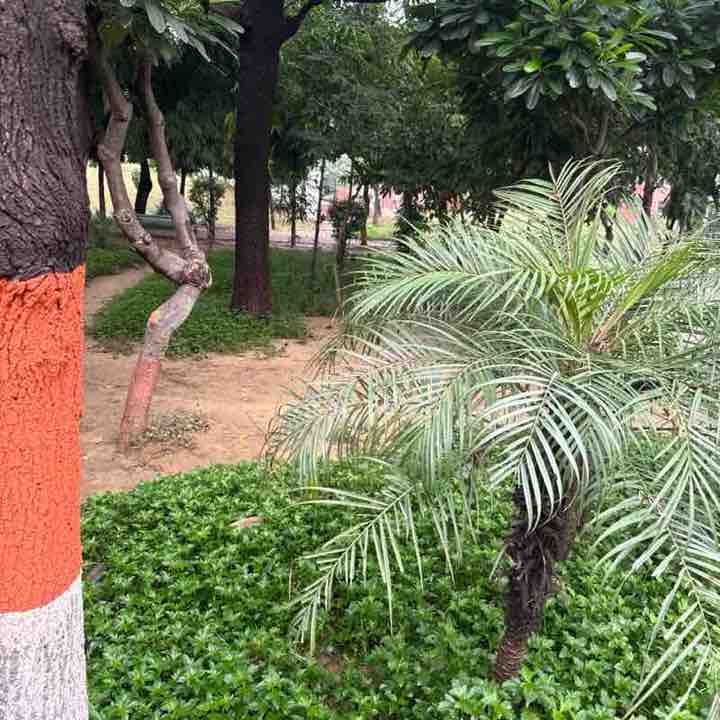 Arun post 1
