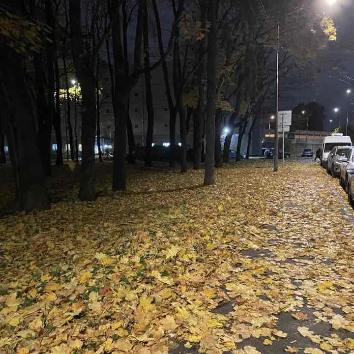pani lui post 1