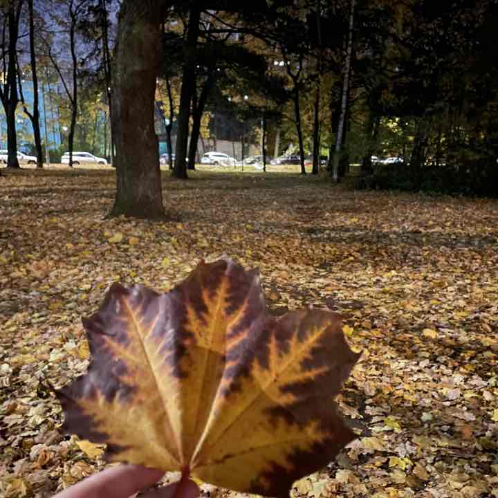 pani lui post 2