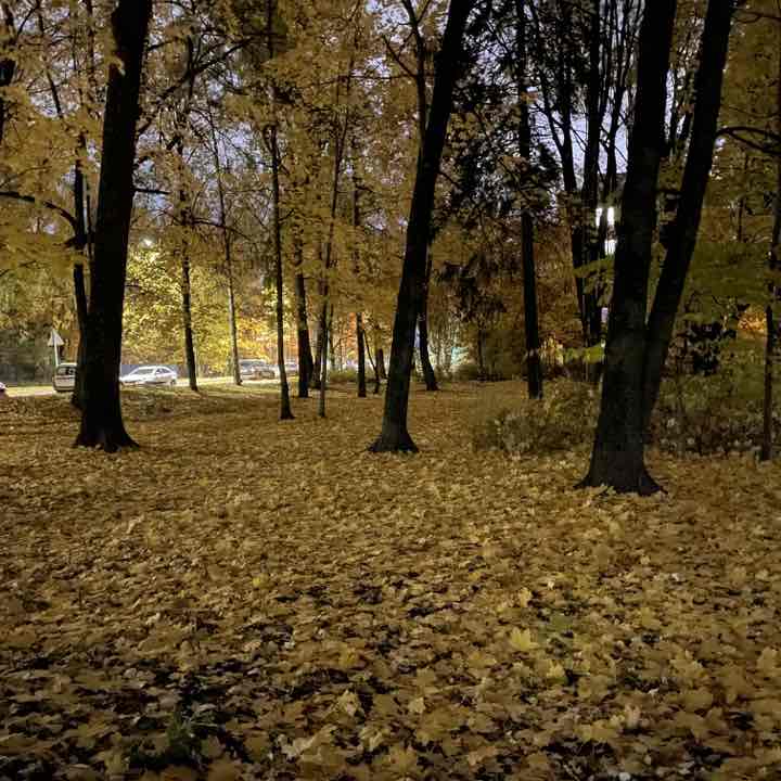 pani lui post 3