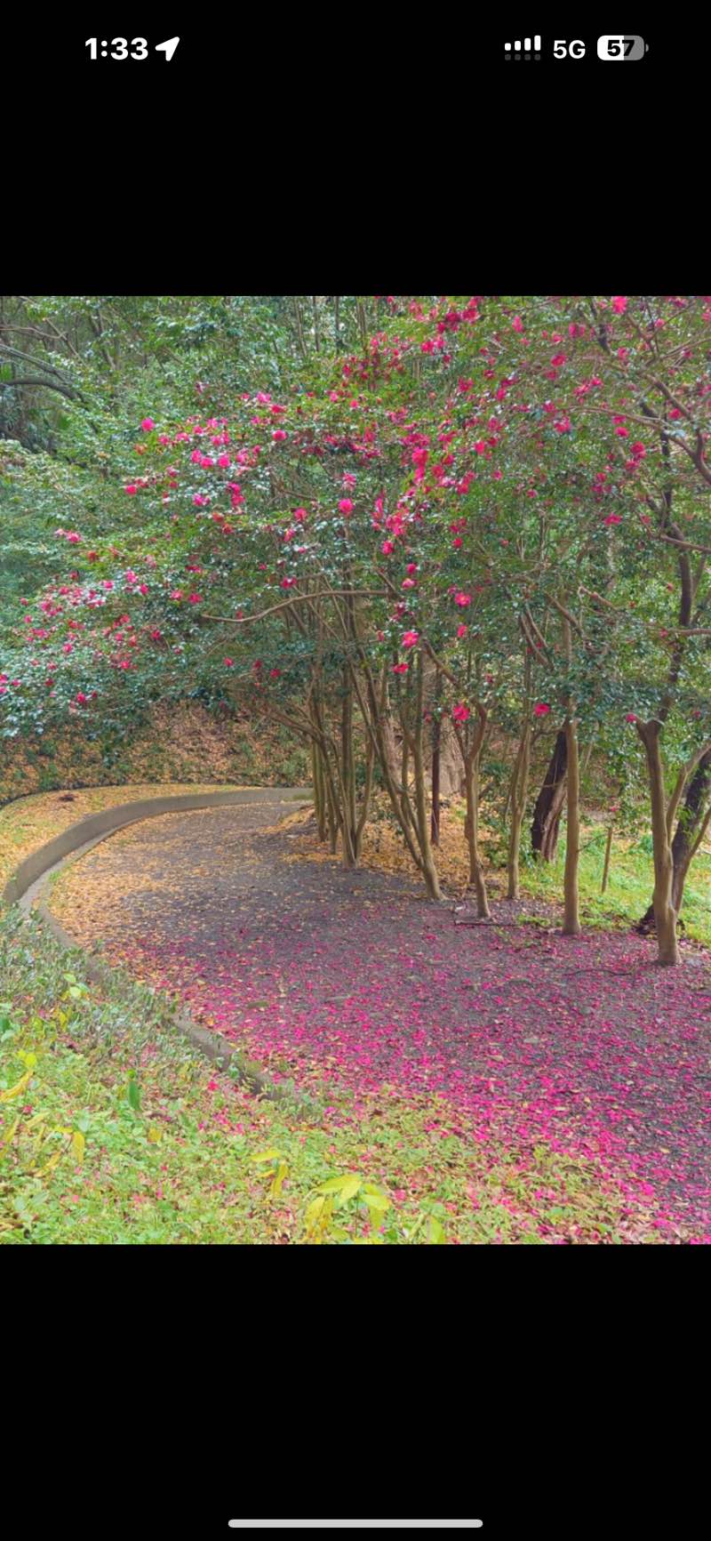 walking near me in Dev Ahilya Bai Park in winter