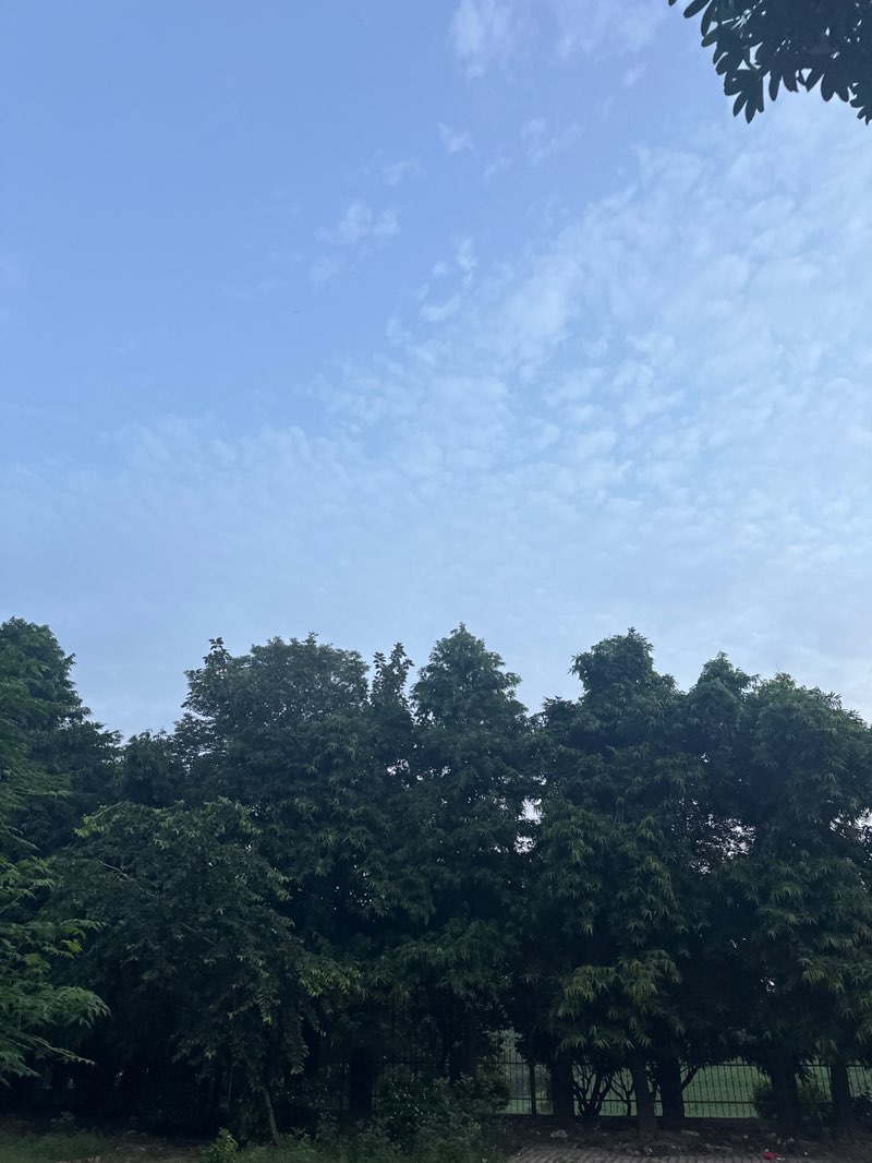 walking near me in Swarna Jayanti Park in autumn