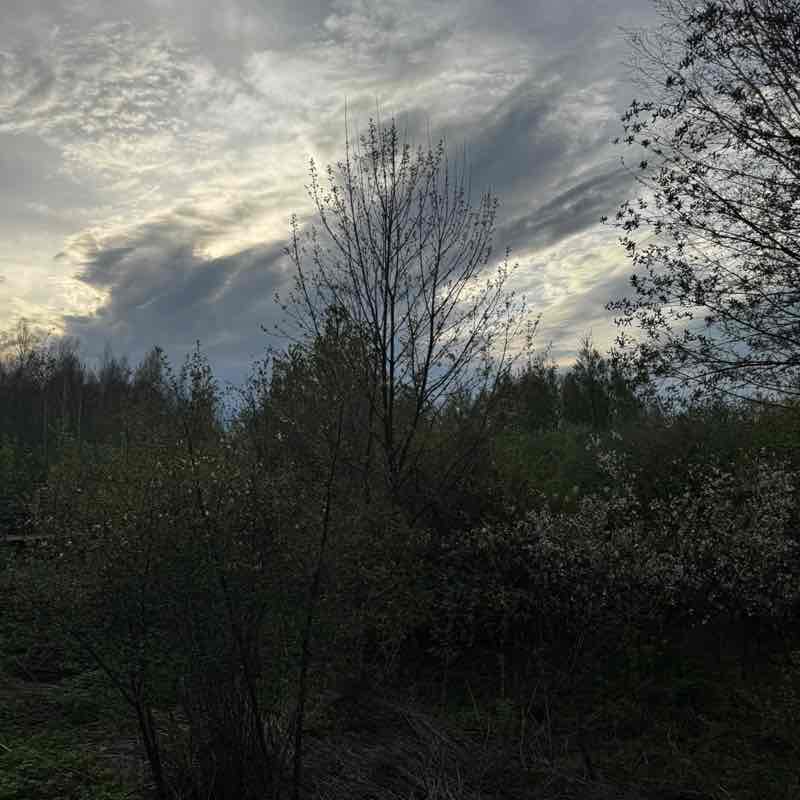 🏃‍♂️Долгопрудный 🏃‍♀️🌏 Bekzod💪🏼🏃🏽‍➡️🌿 post image