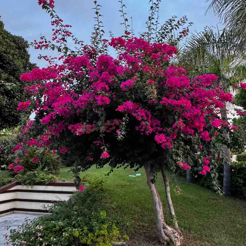 Tashkent walkers🚶🏻♂️ Бекзод post image