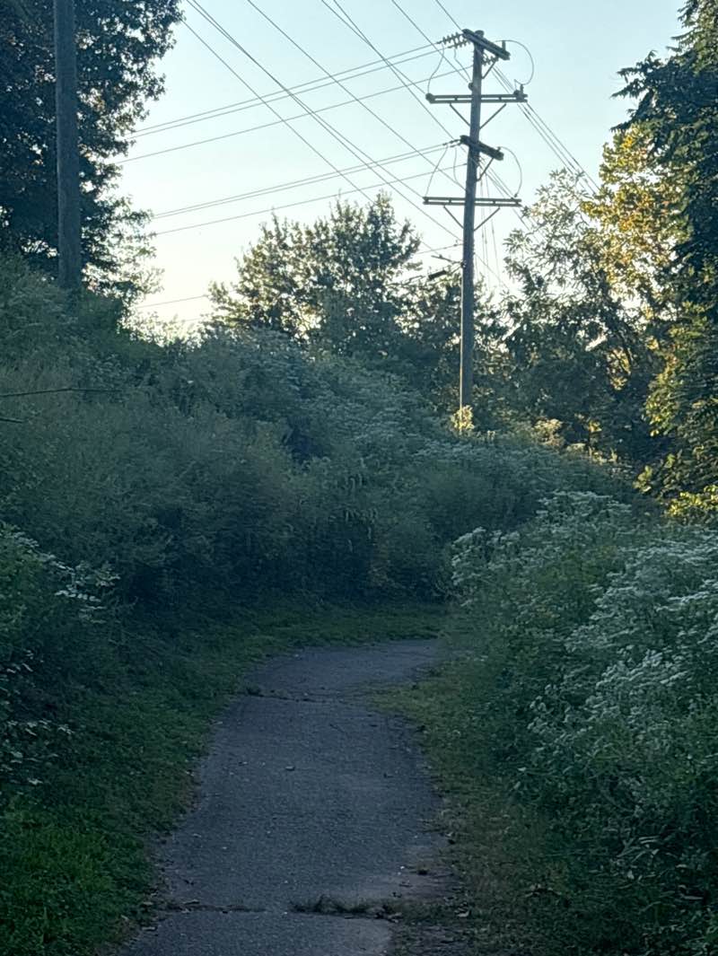 walking near me in Centre Ridge North Park in autumn