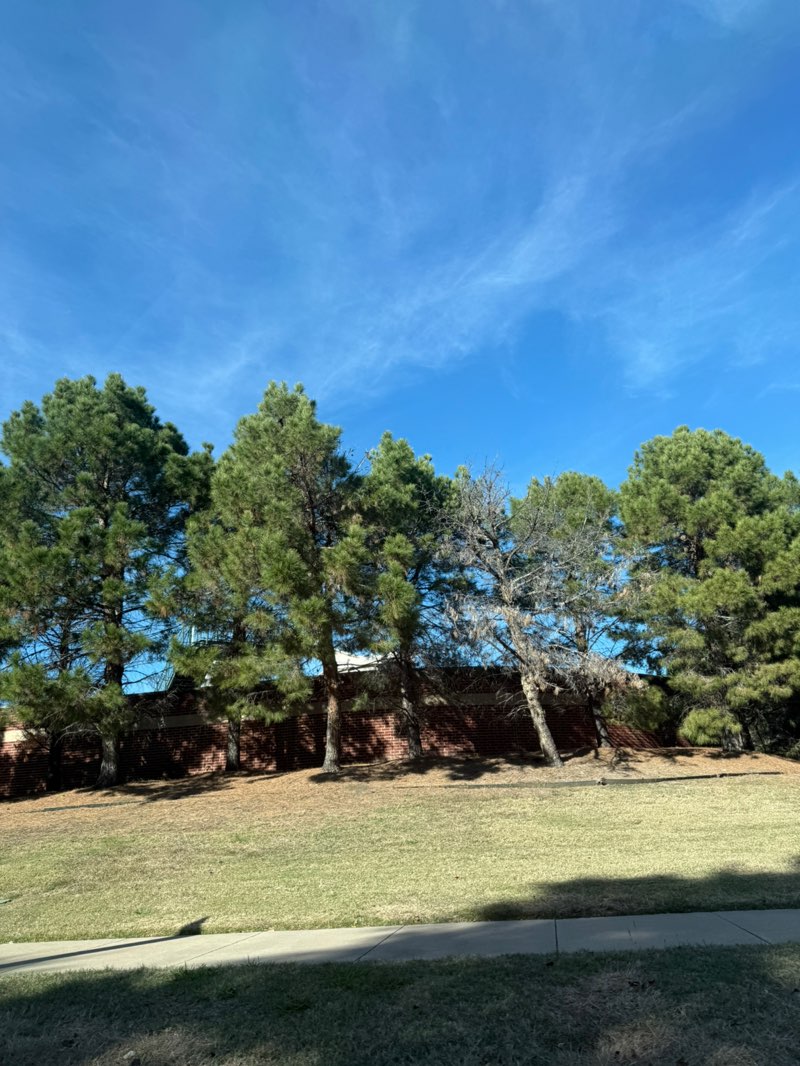 walking near me in Cimarron Park in winter