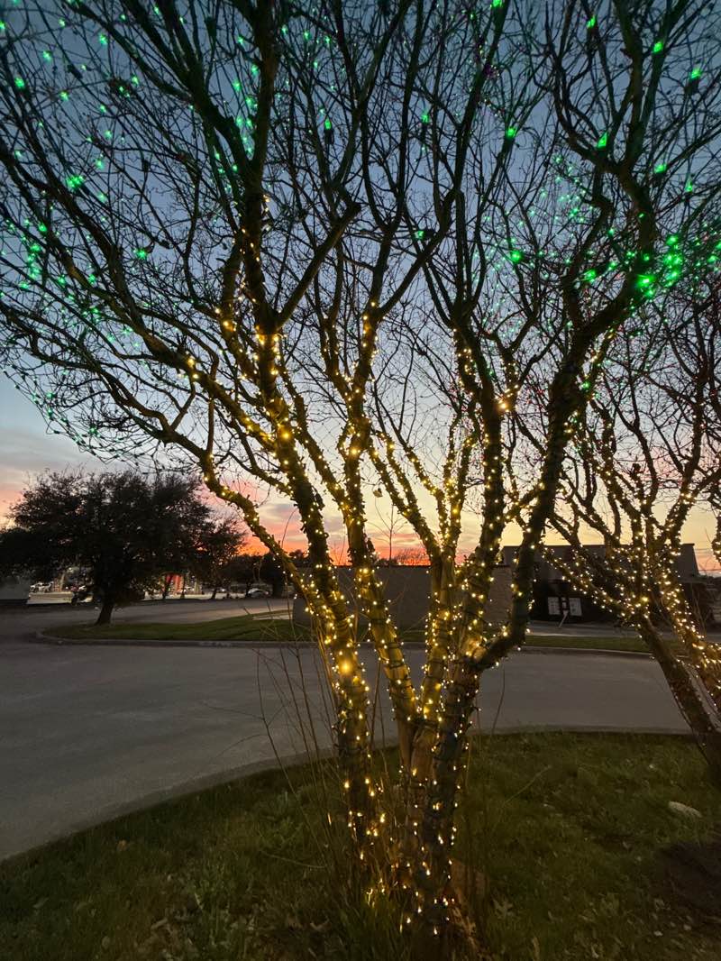 walking near me in Bluebonnet Trail Park in spring