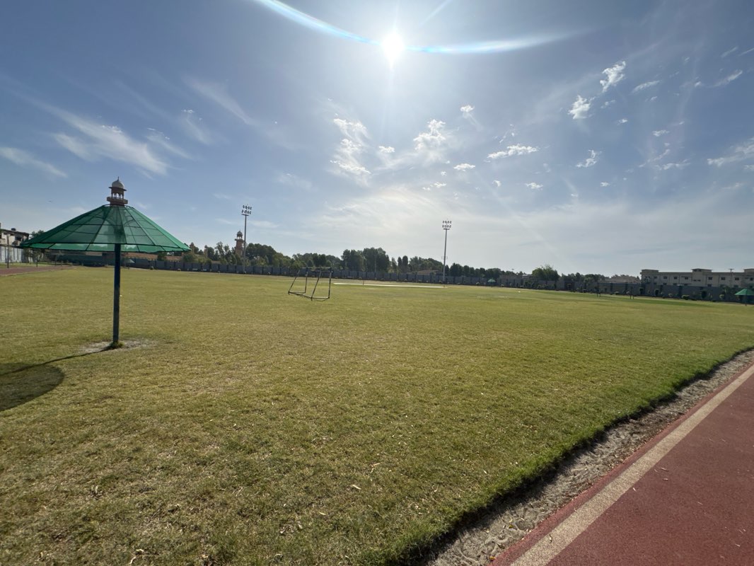 walking near me in Rani Bagh in spring