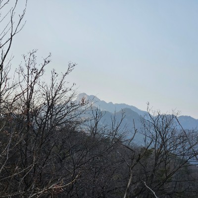 Knauf Gypsum - Walk with Team! 3팀 안봉욱 post image