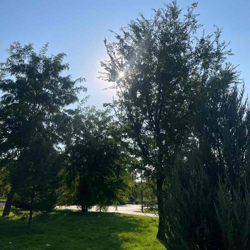 Artur Tatosyan post 3