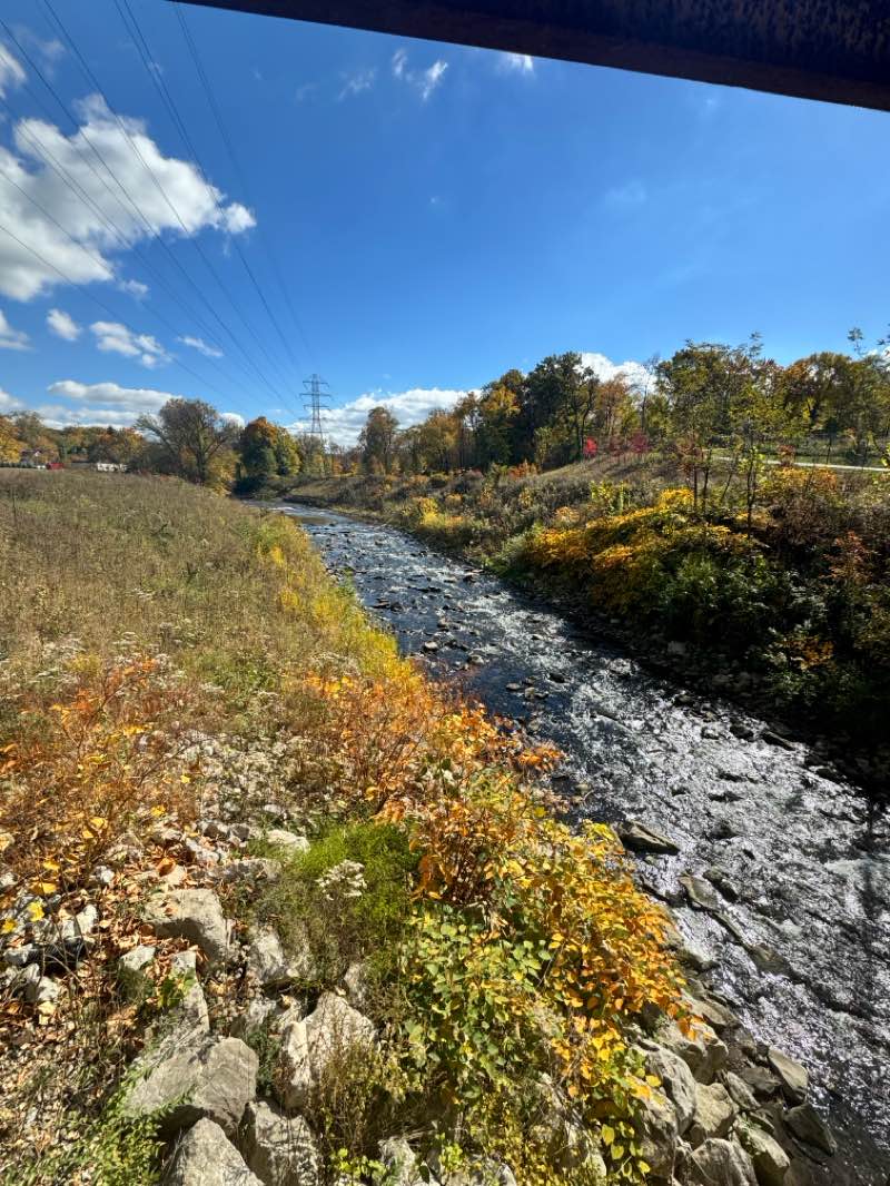 walking near me in Cascade Valley Metropark (Cascade Locks Area) in winter