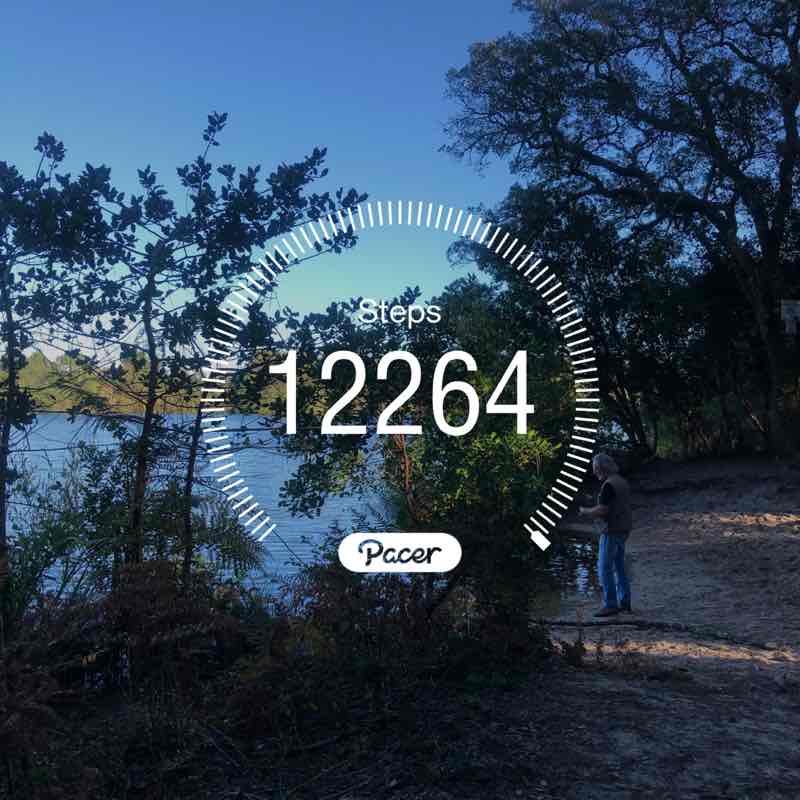 sashabataille post 1