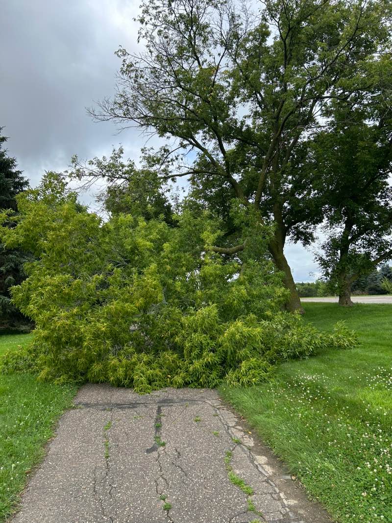 walking near me in Marsh Creek Park in autumn