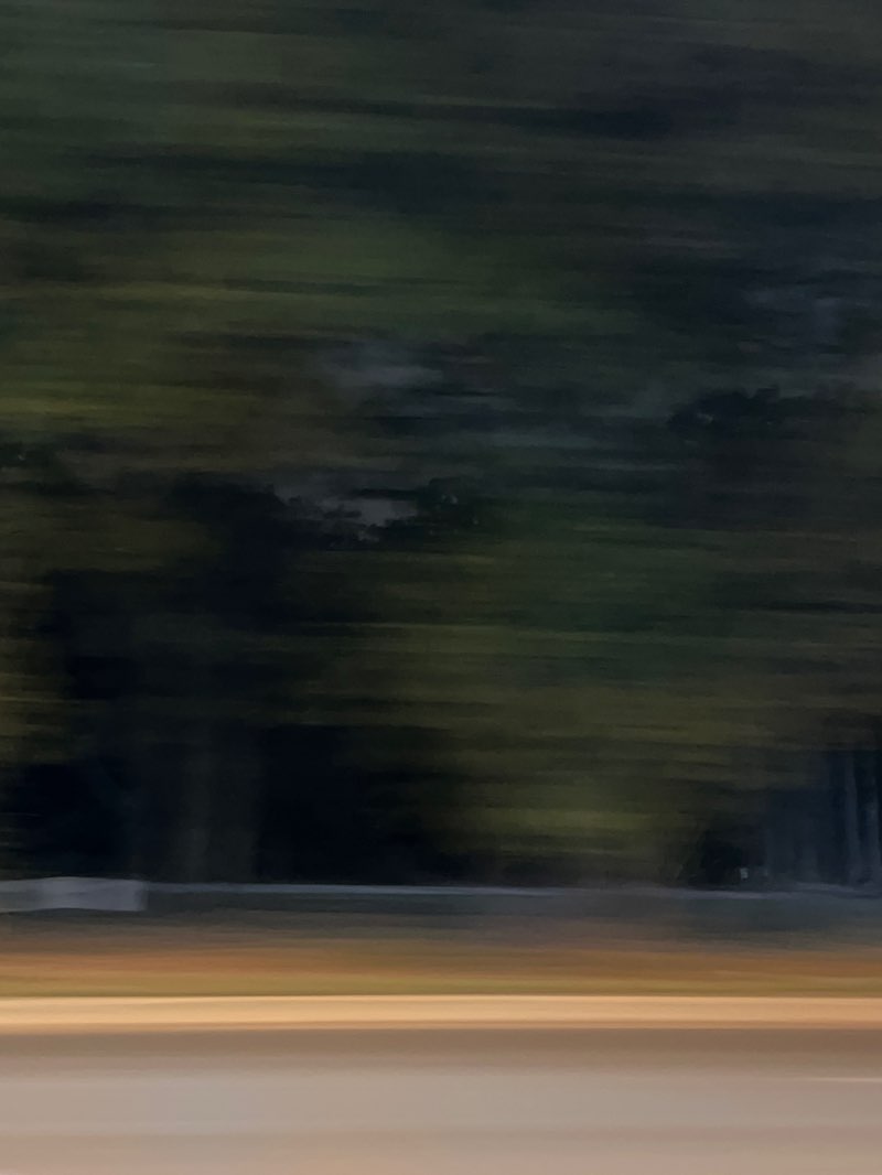 walking near me in La Grange Park Woods in autumn