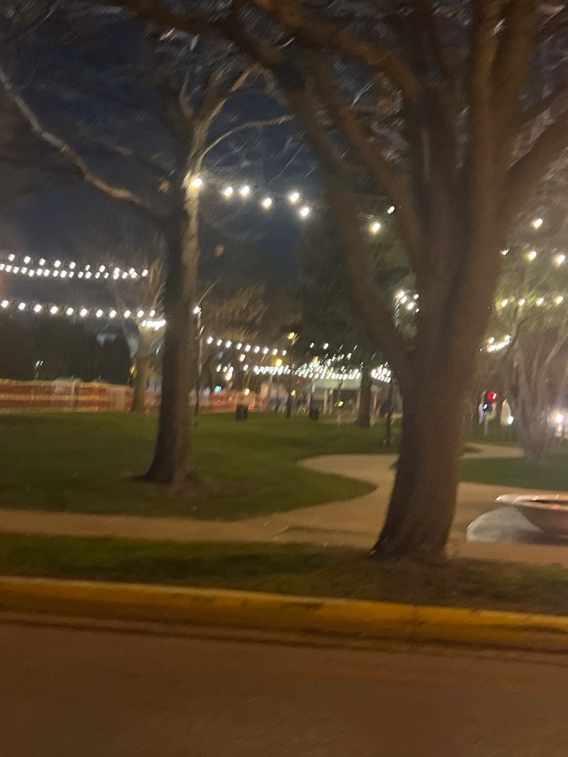 walking near me in Central Park in spring