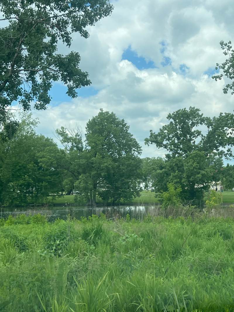 walking near me in Twin Lakes Park in spring